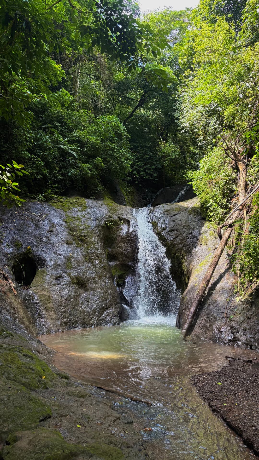 Jacó Waterfall Tour