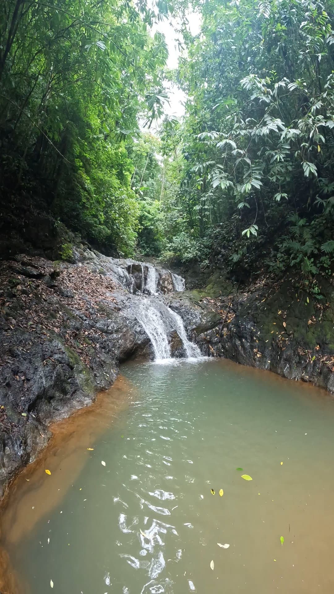 Jacó Waterfall Tour — 3