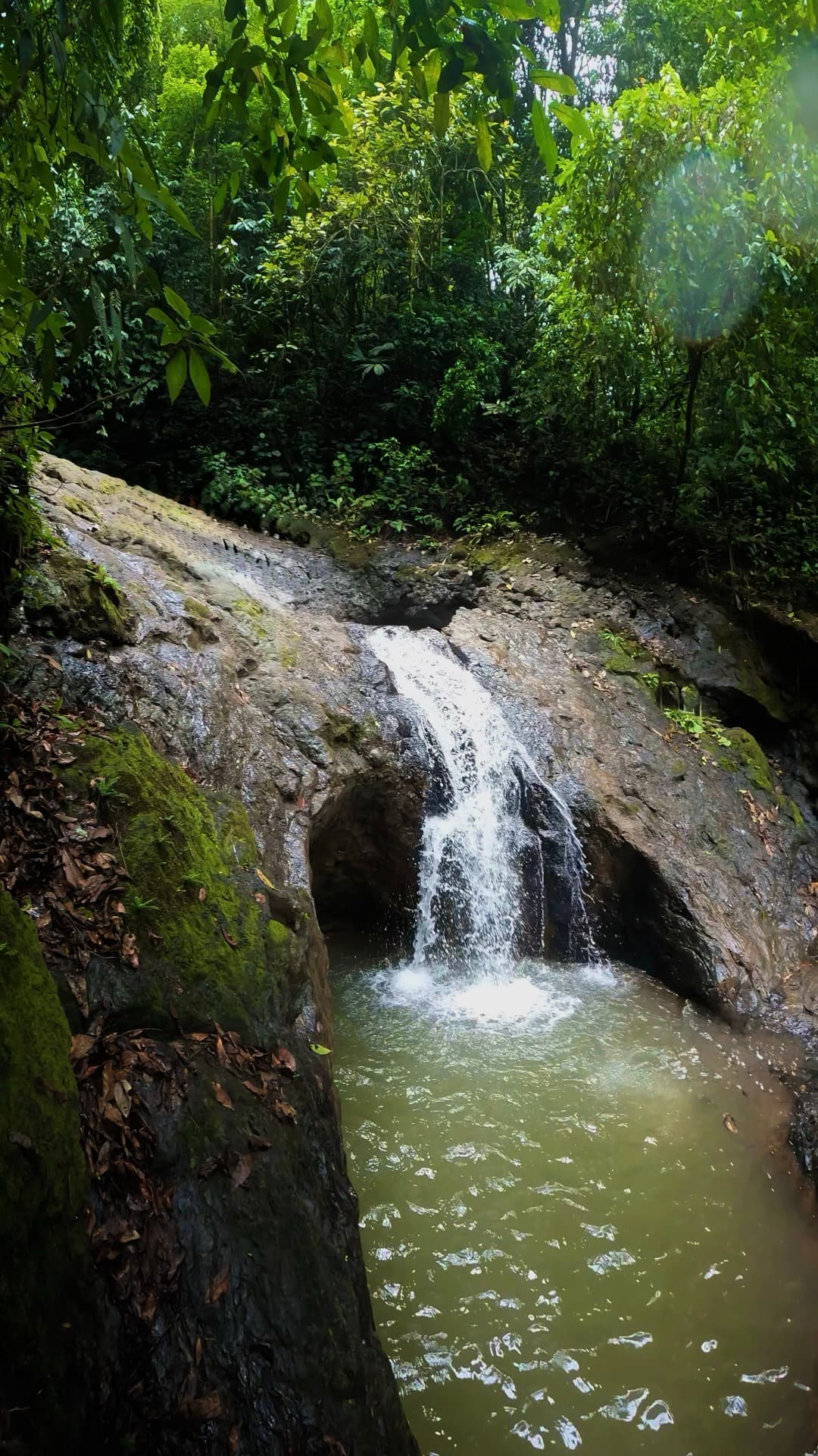 Jacó Waterfall Tour — 4
