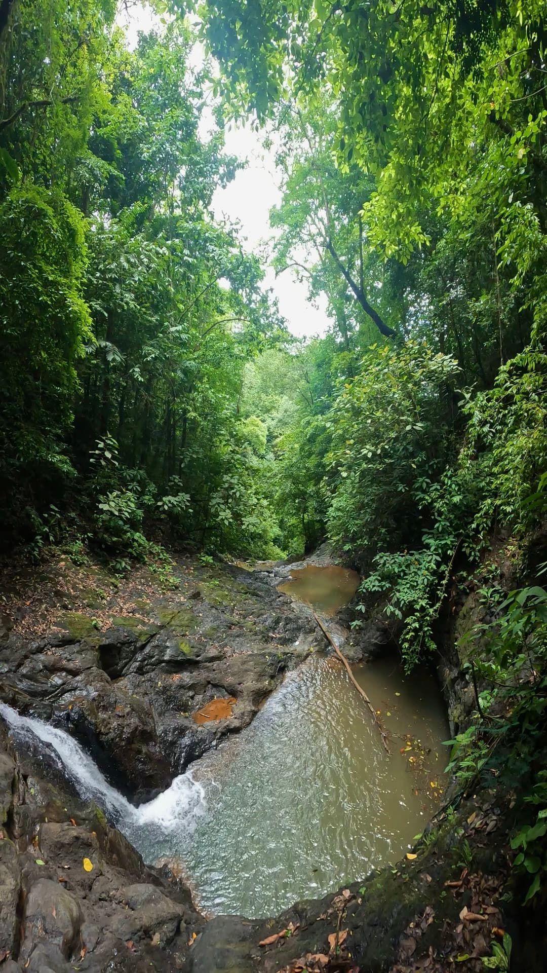 Jacó Waterfall Tour — 5