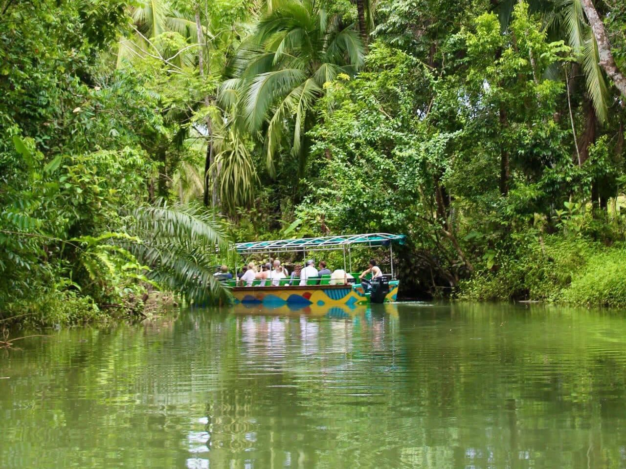 Monkey Mangrove Tour