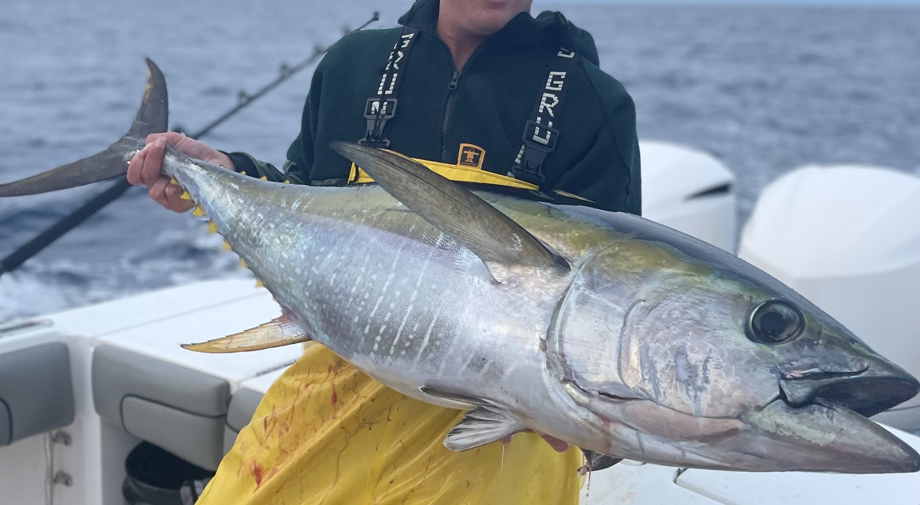 Yellowfin