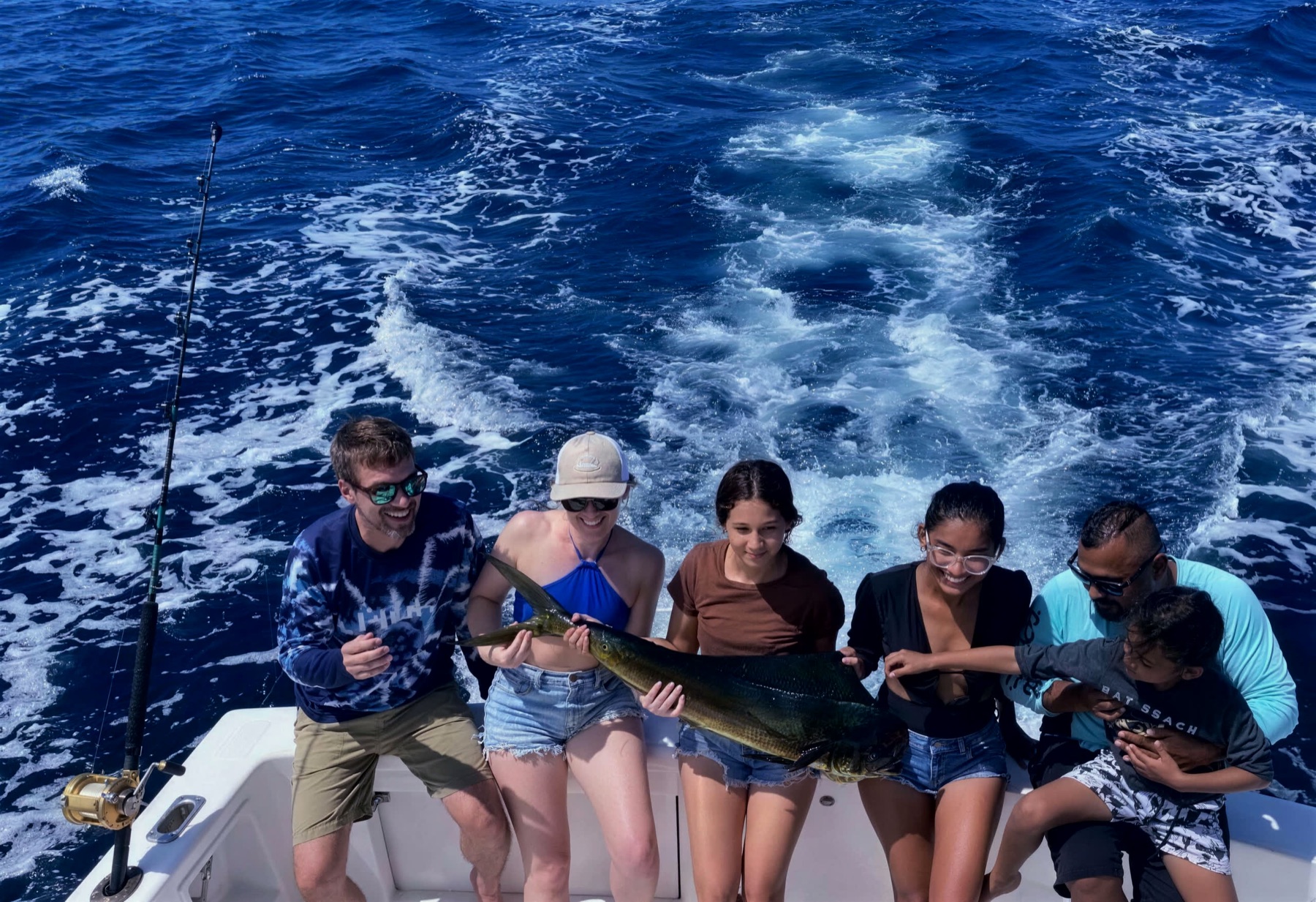 Mahi-Mahi