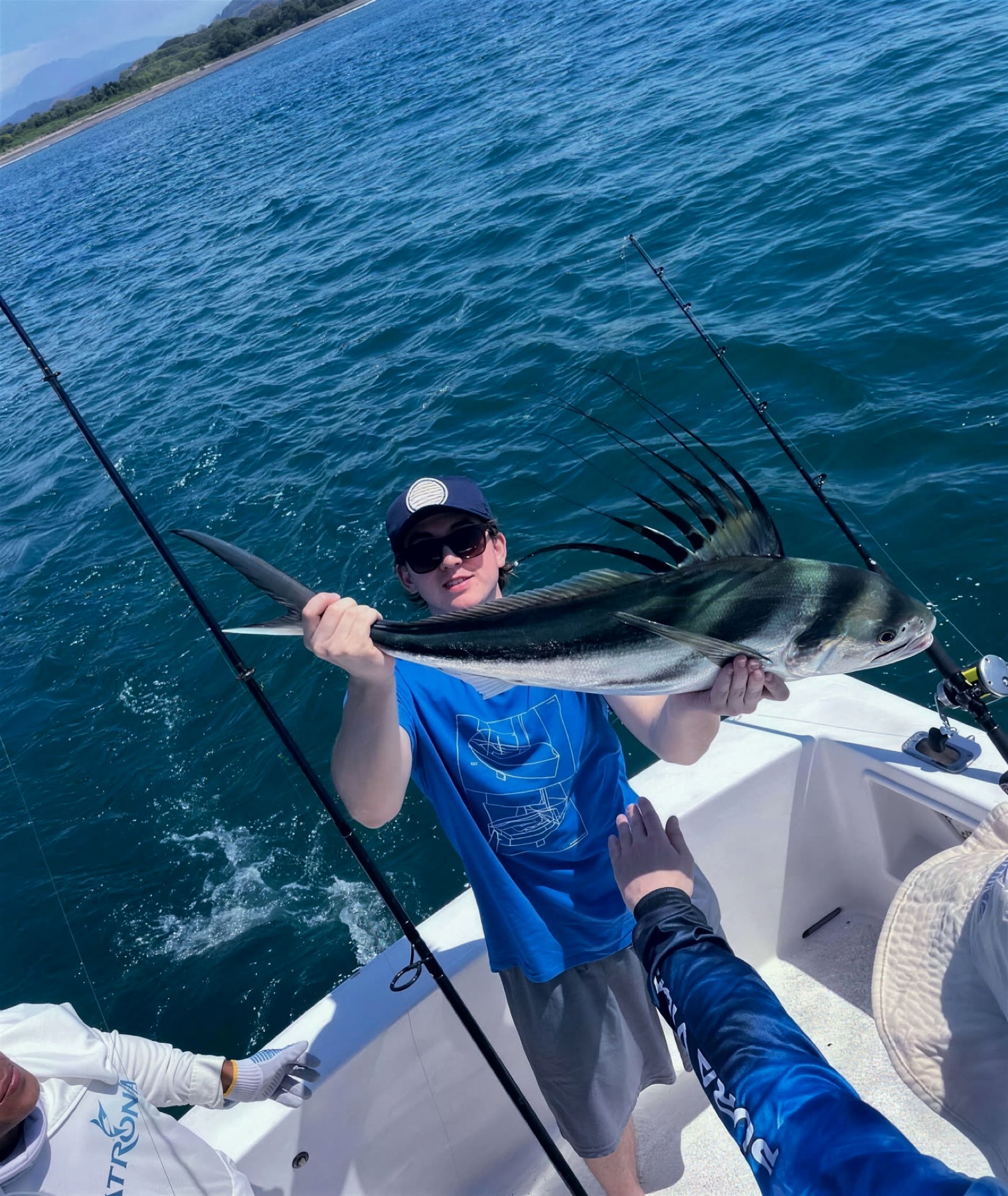 Roosterfish